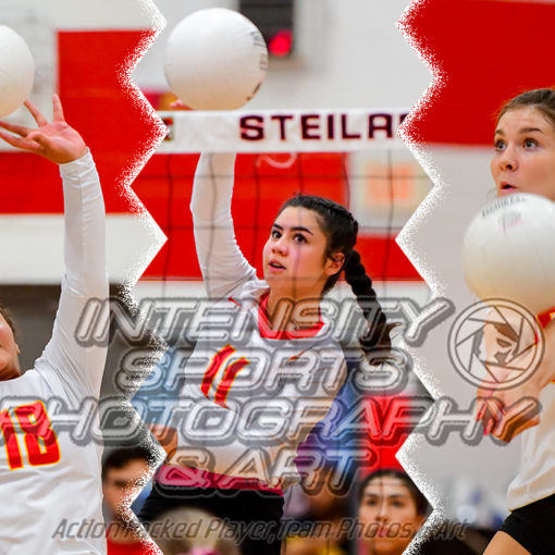 Steilacoom Sentinels Volleyball Tacoma