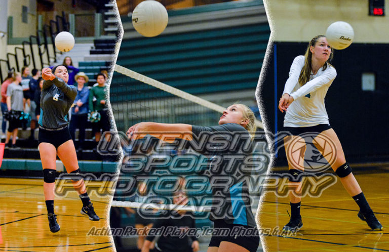 Bonney Lake Panther Volleyball