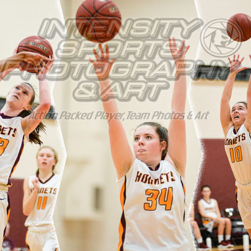 White River Hornet Basketball JV Girls