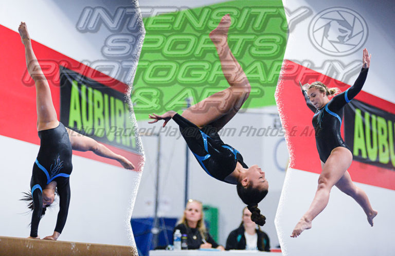 Bonney Lake Panther Gymnastics