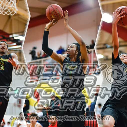 Foss High School Falcons Basketball