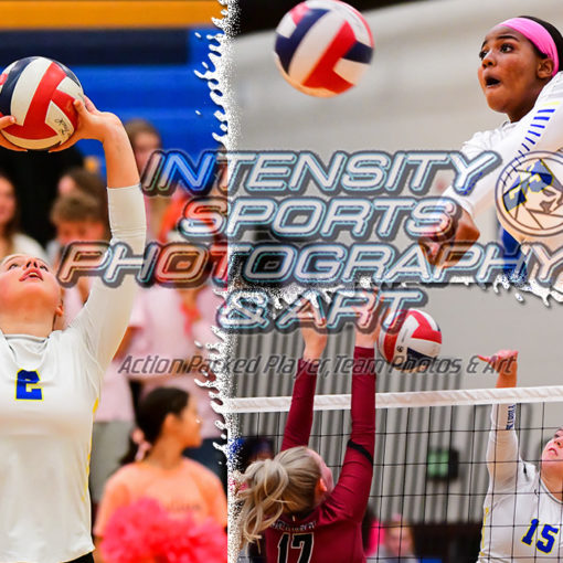 Stadium High School Tigers Volleyball (Tacoma)