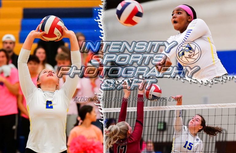 Stadium High School Tigers Volleyball (Tacoma)