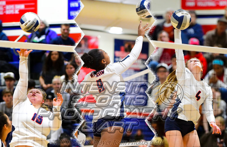 Wilson Rams Volleyball Tacoma